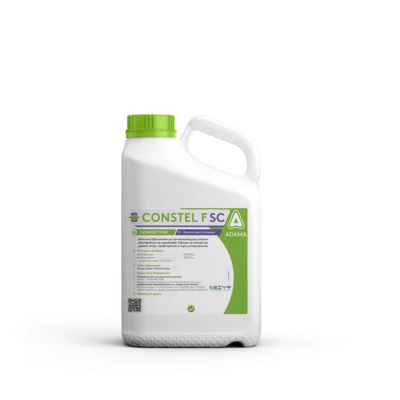 Constel F_5L_fixed