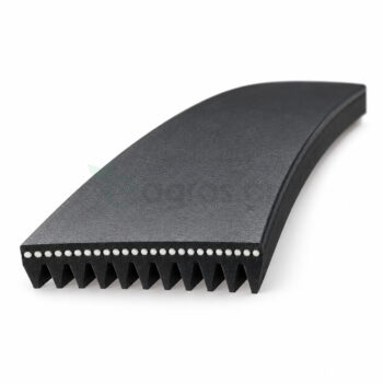 Ιμάντας Poly V 11PK, 11 ραβδώσεις, Standard USA