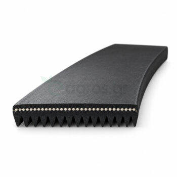 Ιμάντας Poly V 15PK, 15 ραβδώσεις, Standard USA